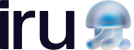 Iru